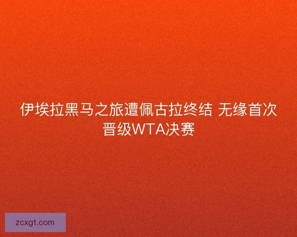 伊埃拉黑马之旅遭佩古拉终结 无缘首次晋级WTA决赛