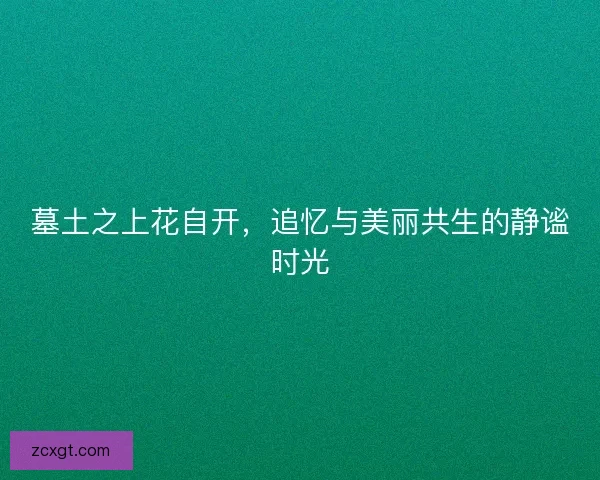墓土之上花自开，追忆与美丽共生的静谧时光