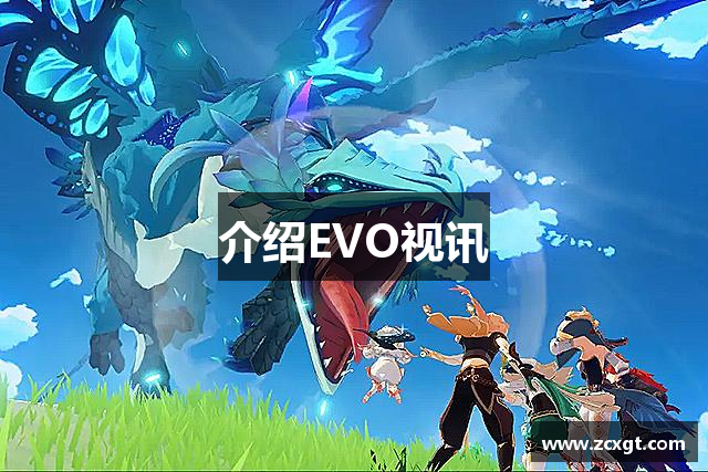 介绍EVO视讯